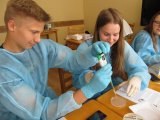 Druga część warsztatów mikrobiologii środowiskowej